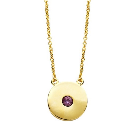 NWT Sterling Forever February Birthstone Necklace - Picture 3 of 6